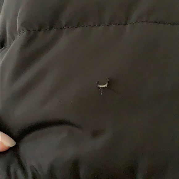 Jacket/Puffer - Picture 4 of 5